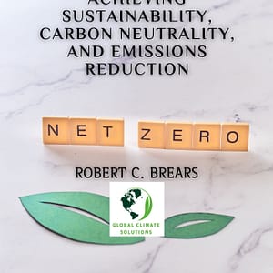 Corporate Net-Zero Strategies: A Practical Guide to Achieving Sustainability, Carbon Neutrality, and Emissions Reduction